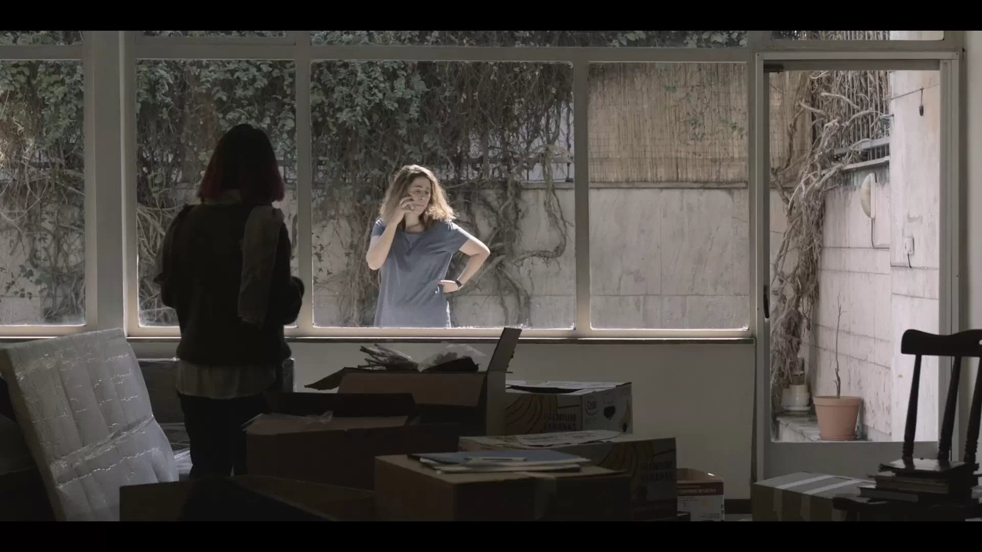 Two women facing one another through the windows of a dim room